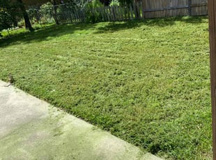 Tivra M.'s Lawn Mowing service result