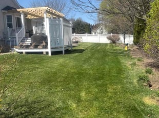 Kenneth F.'s Lawn Mowing service result