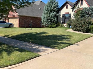 Susan H.'s Lawn Service service result