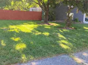 David H.'s Lawn Service service result