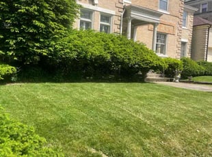 Diane A.'s Lawn Service service result