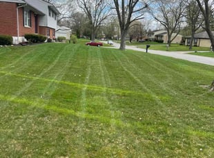 Lee Anne D.'s Lawn Care service result