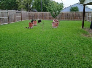 Nicollette M.'s Lawn Mowing service result