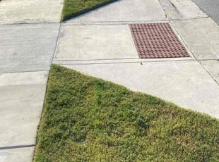 Cleo M.'s Yard Cutting service result