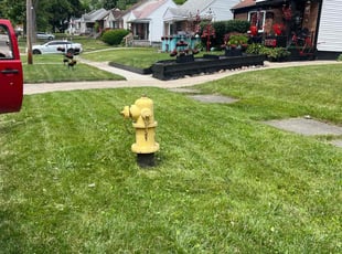 Khalia H.'s Lawn Care service result