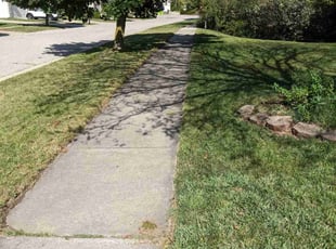 Agboola O.'s Lawn Mowing Service service result