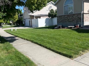Lisa B.'s Yard Cutting service result