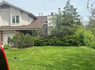 Carlisa N.'s Lawn Mowing service result