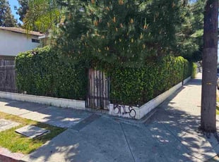 Bush Trimming by Jose Martinez for Bo H. in Los Angeles, CA