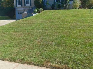 Tabitha N.'s Lawn Care service result