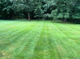 Scott B.'s Grass Cutting service result