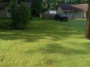 Alina W.'s Lawn Service service result