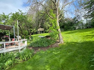 Tyler A.'s Grass Cutting service result