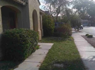 Bush Trimming by Rence Charles for Rebekah M. in Gilbert, AZ