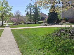 Cassandra S.'s Lawn Mowing service result