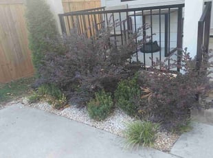 Weeding by Isaiah Cuthbertson for Zach M. in Charlotte, NC