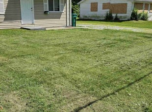 Kevin Y.'s Grass Cutting service result