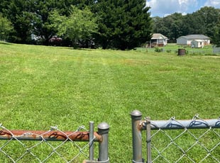 Megan B.'s Lawn Care service result