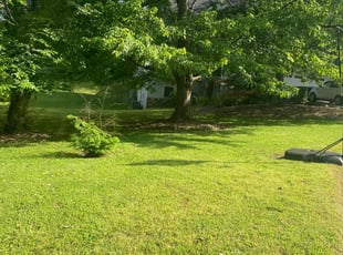 Sal L.'s Lawn Mowing service result