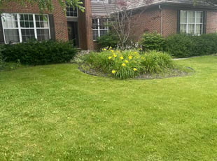 Betty M.'s Lawn Service service result
