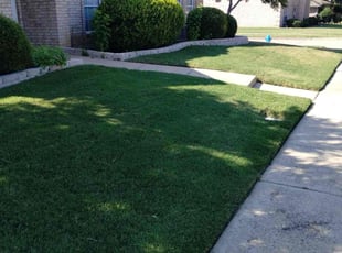 Carlyn H.'s Lawn Mowing Service service result