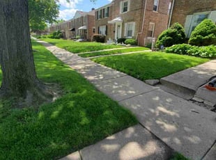 Ricardo D.'s Lawn Care service result