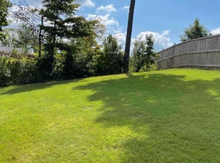 Michael H.'s Lawn Maintenance service result