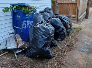 Cleanups by Jose Paz for Chinyere O. in Washington, DC
