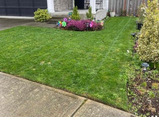 Anjali S.'s Lawn Service service result