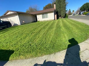 Joe T.'s Lawn Mowing service result
