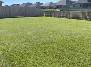 Louis D.'s Lawn Care service result