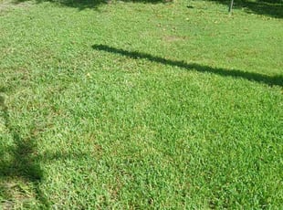 Don D.'s Lawn Service service result