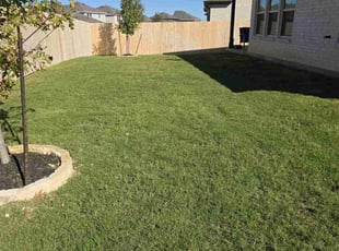 Michael V.'s Lawn Service service result