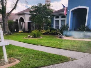 Michele A.'s Grass Cutting service result