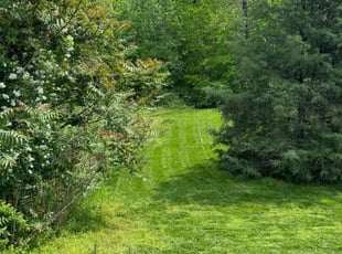 Pauline D.'s Lawn Service service result