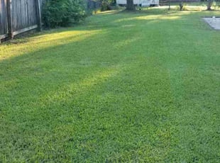 Jeffery C.'s Lawn Mowing service result