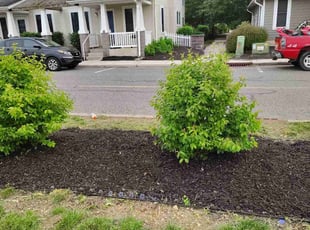 Mulching by Ivy Hannah for Marisol P. in Bridgeton, NJ