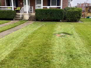Michele M.'s Lawn Service service result
