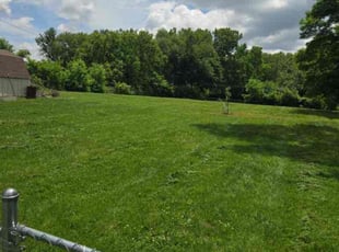 Madeline H.'s Yard Cutting service result