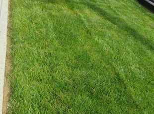 G H.'s Lawn Care service result
