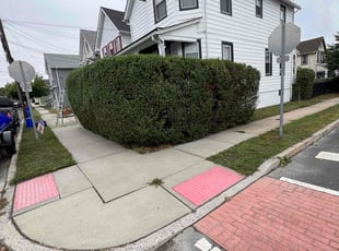 Steven R.'s Lawn Mowing service result