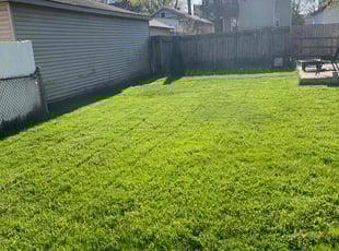 Lisa k.'s Lawn Mowing service result