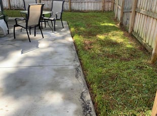 Michael M.'s Lawn Mowing service result