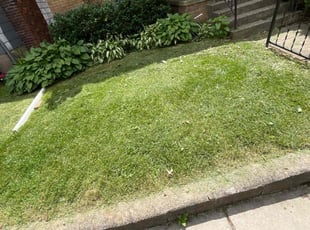 Christina H.'s Lawn Mowing Service service result
