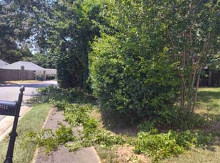 Cleanups by Michael Lagos for Angela L. in Daphne, AL