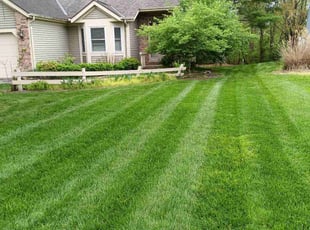 Eitel C.'s Grass Cutting service result