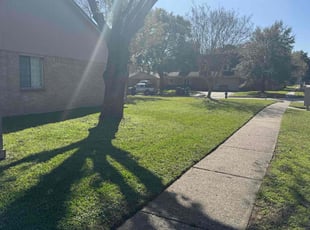 Melodi P.'s Lawn Mowing service result
