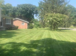 Lester G.'s Lawn Care service result