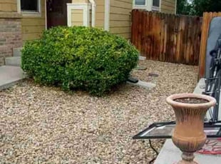 Weeding by Trent Young for Jessica L. in Henderson, CO