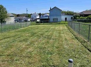 Jessica P.'s Lawn Care service result